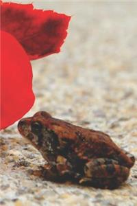 Tiny Frog Pretty Blank Lined Journal for daily thoughts notebook Lovely Lake Arrowhead Photograph