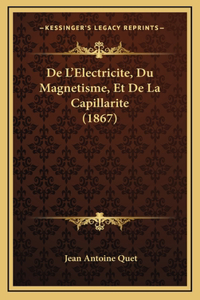 De L'Electricite, Du Magnetisme, Et De La Capillarite (1867)