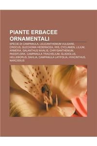 Piante Erbacee Ornamentali
