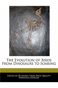 The Evolution of Birds from Dinosaurs to Soaring