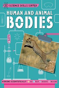 Science Skills Sorted!: Human and Animal Bodies