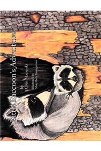 Little Raccoon's Adventures