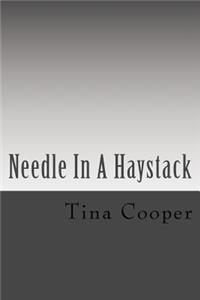 Needle In A Haystack