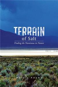 Terrain of Salt