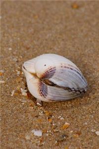 Seashell on the Beach Journal