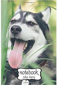 Notebook Journal Dot-grid, Graph, Lined, Blank, No Lined - Husky Dog: Small Pocket Notebook / Journal / Diary