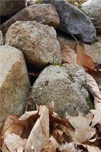 Journal Rock Pile Dry Leaves