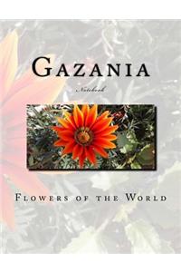Gazania Notebook