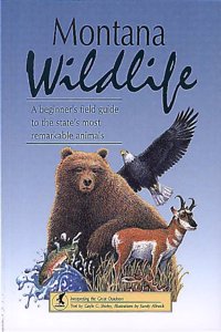 Montana Wildlife