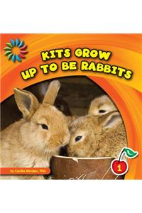 Kits Grow Up to Be Rabbits