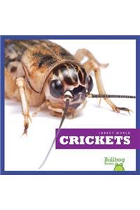 Crickets