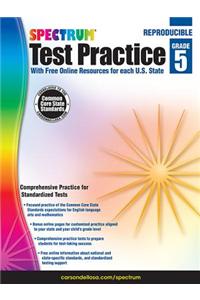 Spectrum Test Practice, Grade 5