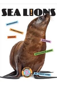 Sea Lions