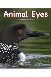 Animal Eyes