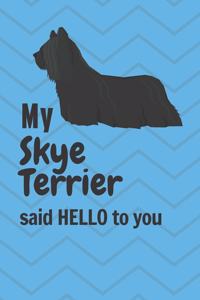 My Skye Terrier said HELLO to you