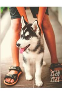 Daily Planner 2020-2021 Husky Dog 15 Months Gratitude Hourly Appointment Calendar