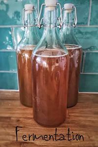 Fermentation