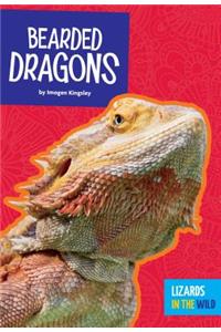 Bearded Dragons