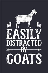 Easily Distracted by Goats