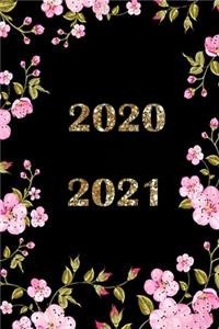 2020 / 2021