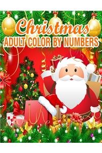 Christmas Adult Color By Numbers