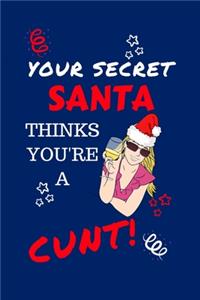 Your Secret Santa Thinks You're A Cunt