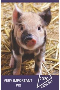 Very Important Pig