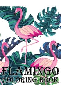 Flamingo Coloring Book