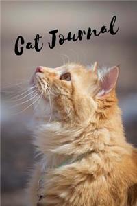 Cat Journal