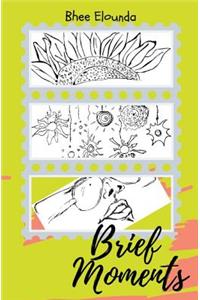 Brief Moments
