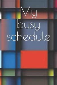 My Busy Schedule: A Weekly Planner for Your Everyday Needs