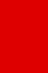 Red Notebook