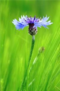 A Cornflower - Lined Notebook with Margins