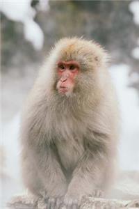 Monkey in the Snow