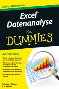 Excel Datenanalyse fur Dummies