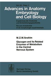 Glycogen and Its Related Enzymes of Metabolism in the Central Nervous System