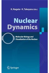 Nuclear Dynamics