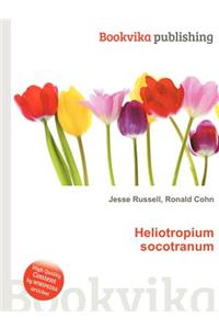 Heliotropium Socotranum