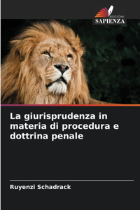 giurisprudenza in materia di procedura e dottrina penale