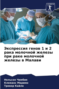 Экспрессия генов 1 и 2 рака молочной железы п&