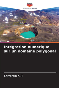 Intégration numérique sur un domaine polygonal