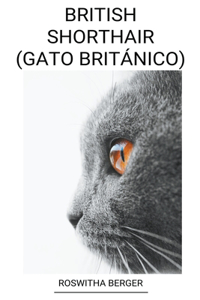 British Shorthair (Gato Britanico)