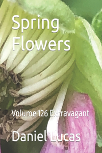 Spring Flowers