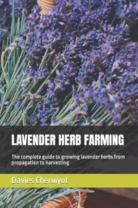 Lavender Herb Farming