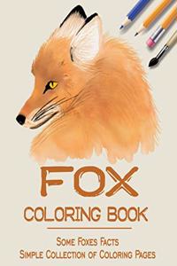 Fox Coloring Book