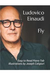 Fly by Ludovico Einaudi