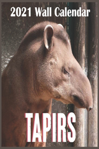 tapirs 2021 wall calendar