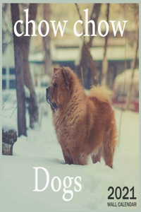 Dogs chow chow