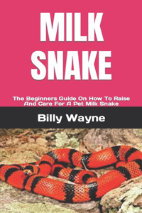 Milk Snake