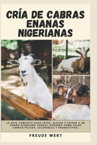 Cría De Cabras Enanas Nigerianas
